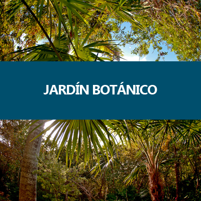 Jardin Botánico Regional