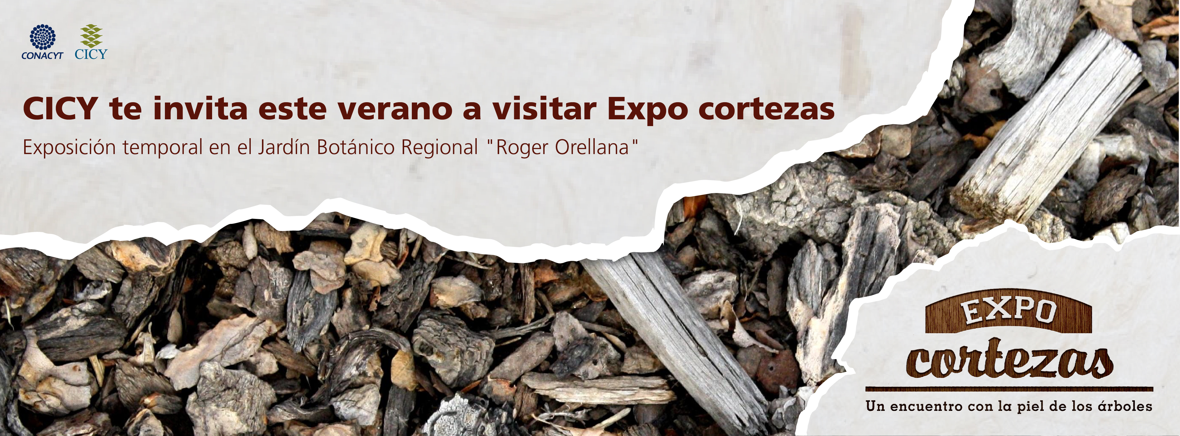 Expo cortezas