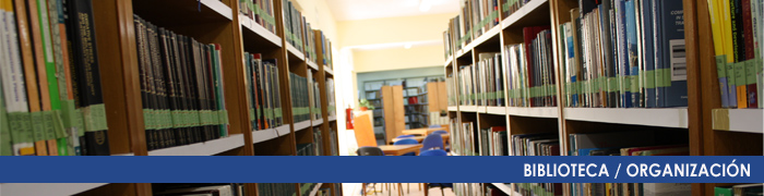 Biblioteca Organización