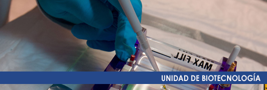 UNIDAD BIOTECNOLOGIA