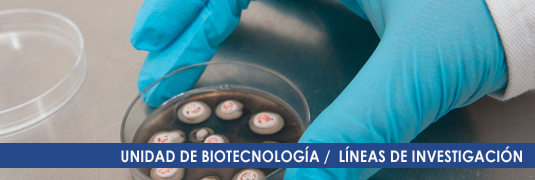 LINEAS DE INVESTIGACION