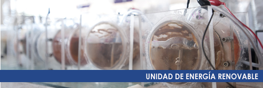 UNIDAD DE ENERGIA RENOVABLE