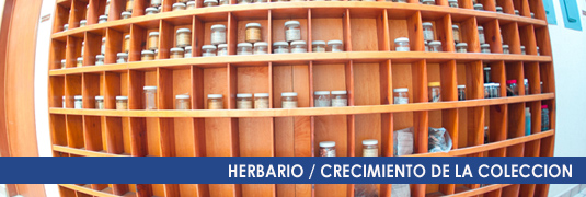 HERBARIO CRECIM IENTO