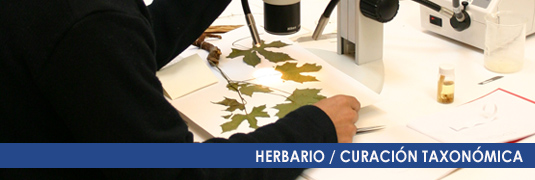 HERBARIO CURACION