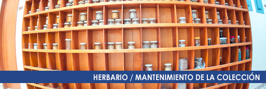 HERBARIO MANTTO