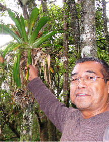 Jose Andrade