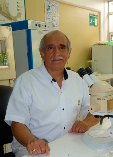 Alfonso larqué Saavedra