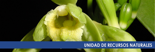 UNIDAD DE RECURSOS NATURALES
