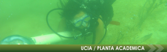 Planta Académica