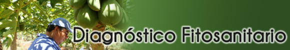 Diagnóstico Fitosanitario