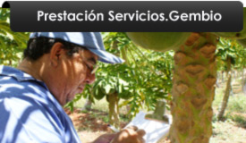 Prestación de Servicios Gembio