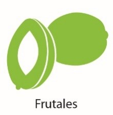 Frutales-Nativos