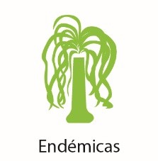 Plantas-Endemicas