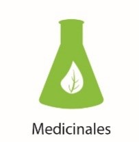 Plantas-Medicinales