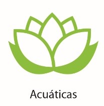 Plantas-acuaticas
