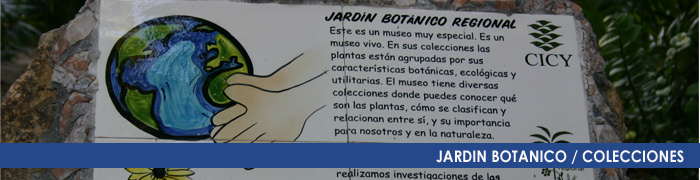 Colecciones