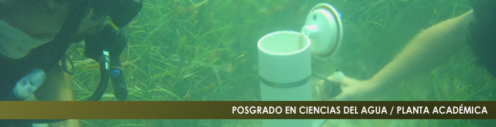 INTRODUCCION