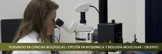OBJETIVO