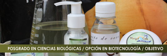 OBJETIVO