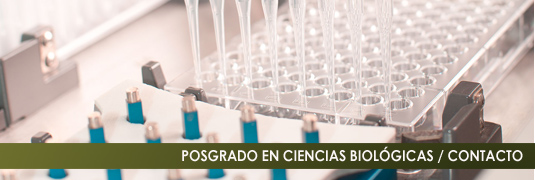 CONTACTO