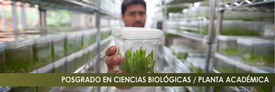 PLANTA ACADEMICA