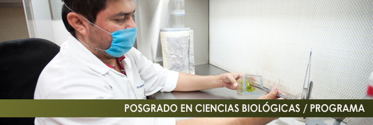 PROGRAMAS