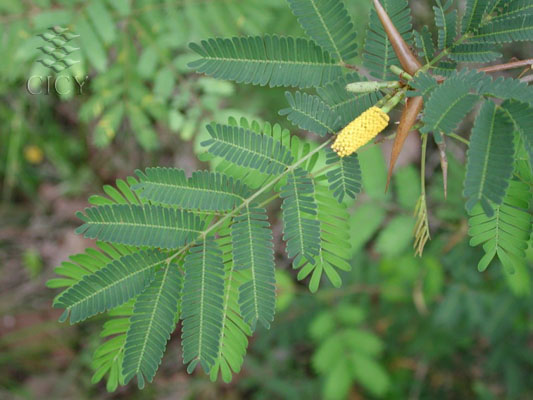 Related image