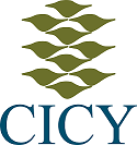 CICY.mx