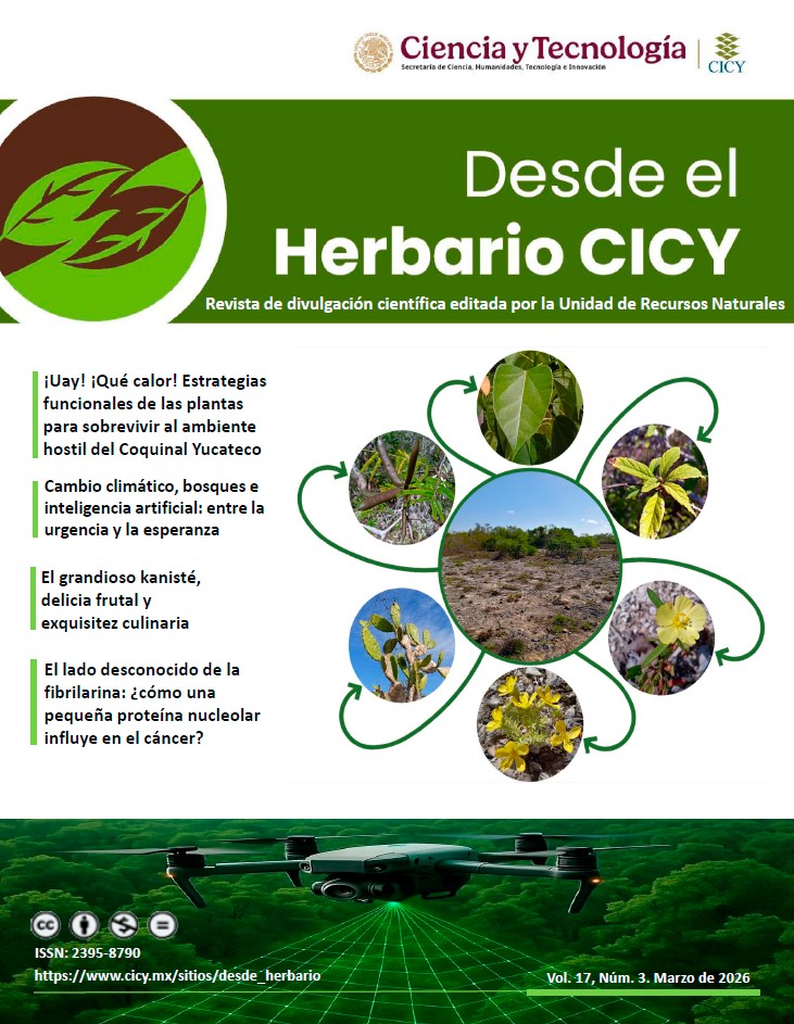 Desde el Herbario Marzo 2026