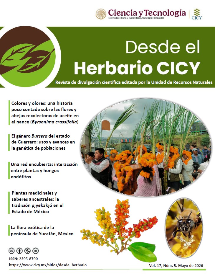 Desde el Herbario Mayo 2026