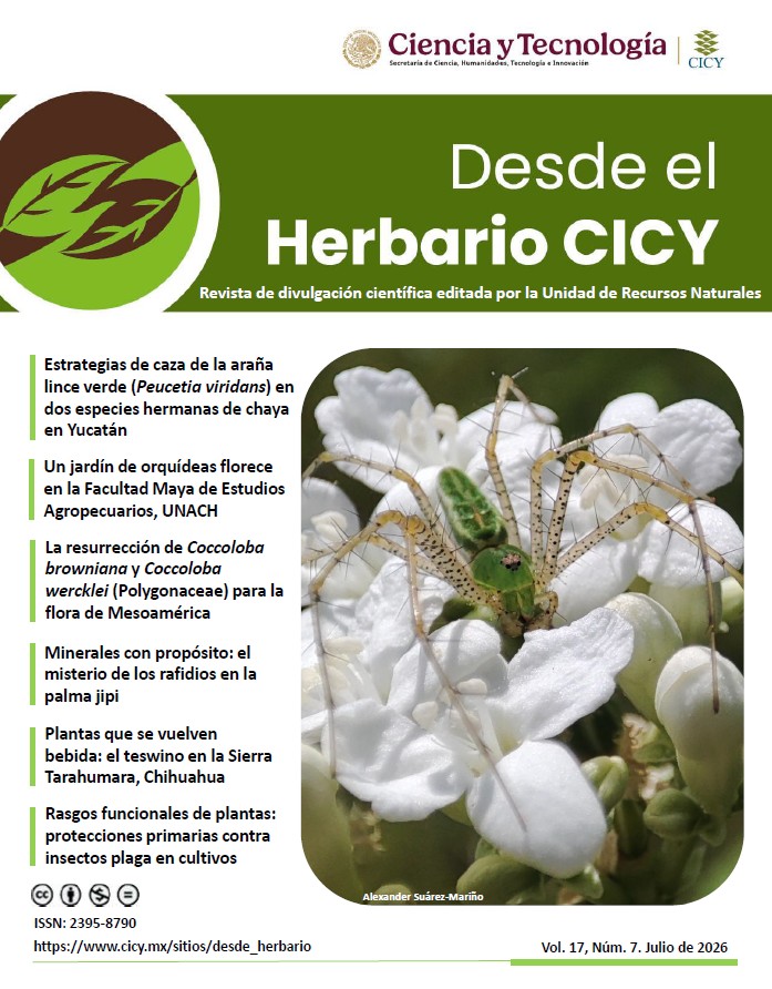 Desde el Herbario Julio 2026