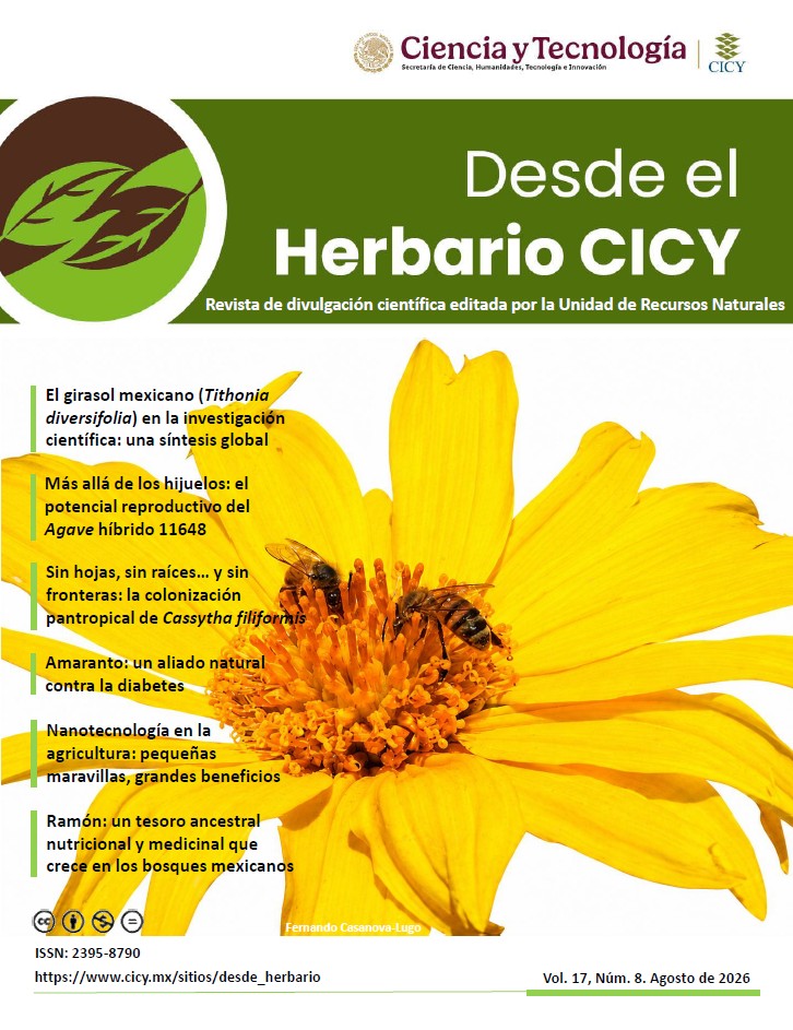 Desde el Herbario Agosto 2026