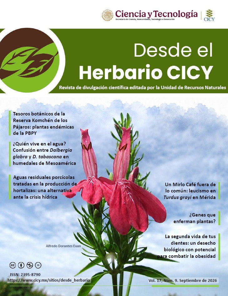 Desde el Herbario Septiembre 2026