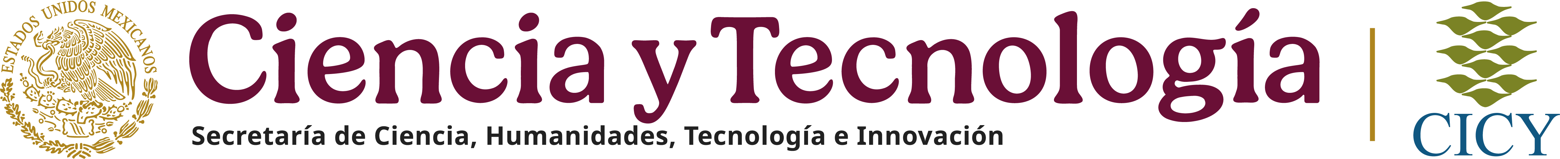 Logo CICY