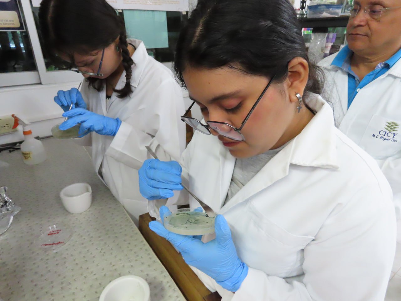 Investigación científica en CICY