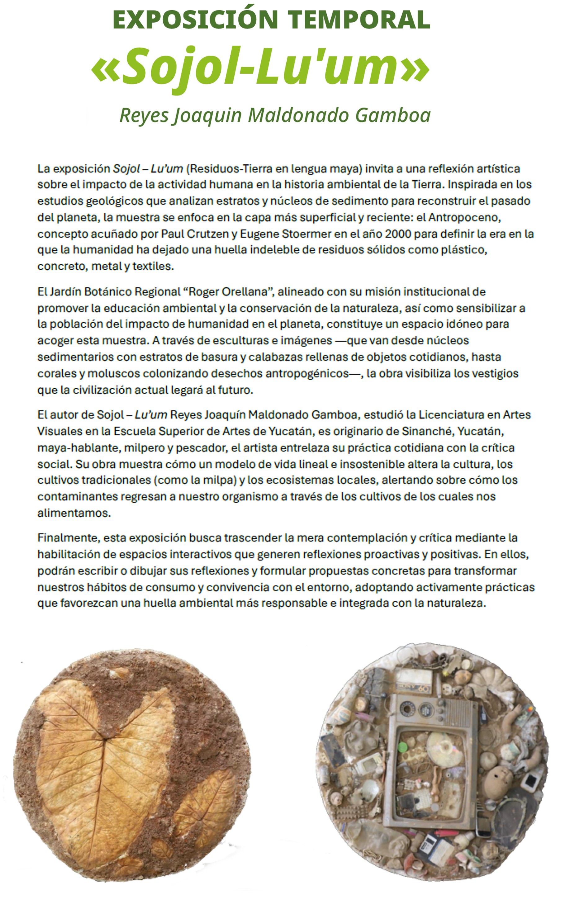 Exposicion-Sojol-Luum.jpg