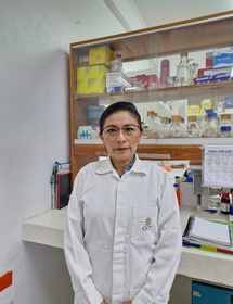 Técnico de Investigación