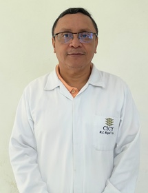 Técnico de Investigación