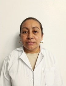 Técnico de Investigación