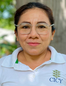 María del Socorro Narvaez Cab