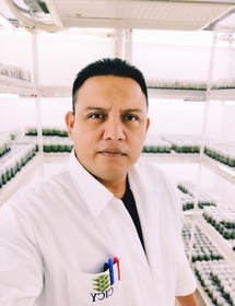 Técnico de Investigación