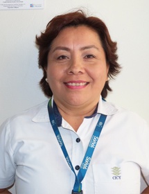 Técnico de Investigación