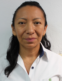 Técnico de Investigación