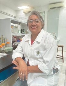 Técnico de Investigación
