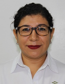 Técnico de Investigación