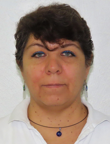 Técnico de Investigación