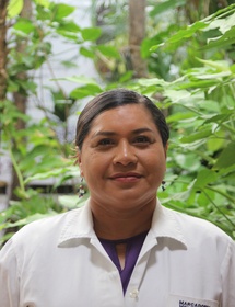 Técnico de Investigación