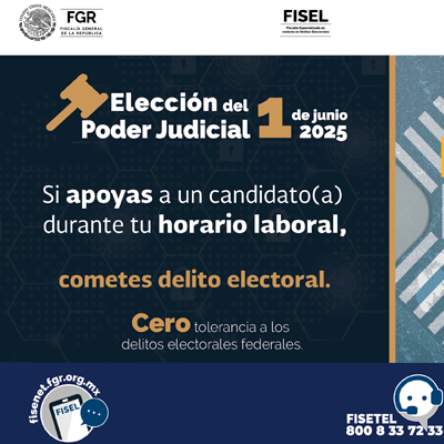 blindaje electoral 