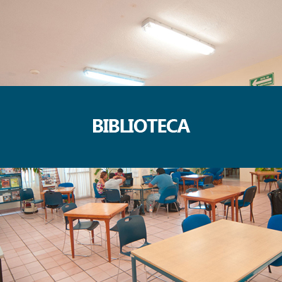 Biblioteca