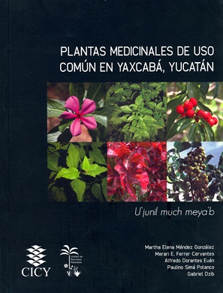 plantas medicinales yaxcaba